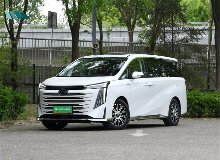 GAC E9 MAX